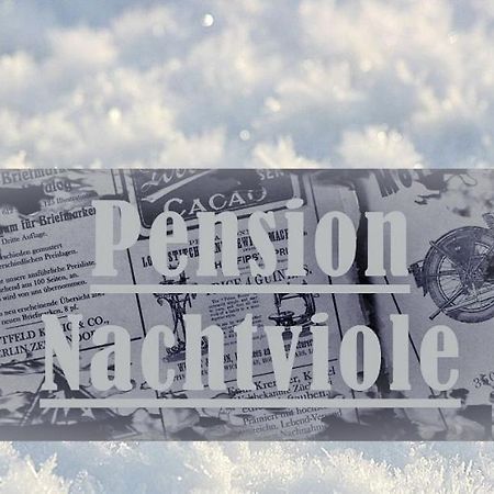Pension Nachtviole Hüttau Esterno foto