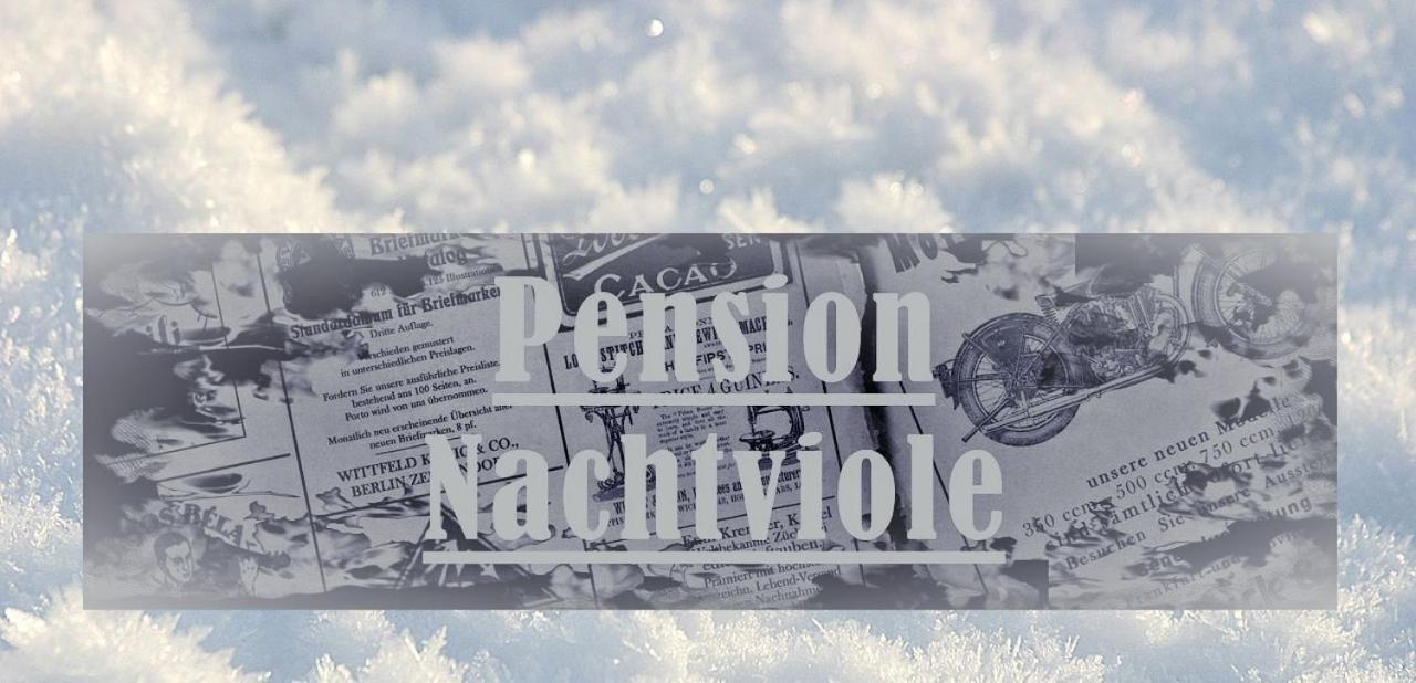 Pension Nachtviole Hüttau Esterno foto