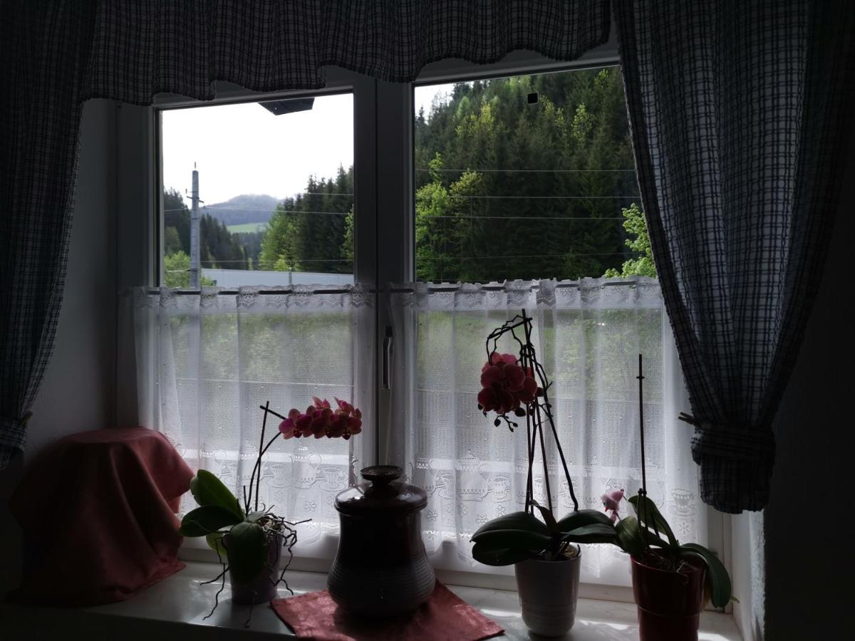 Pension Nachtviole Hüttau Esterno foto