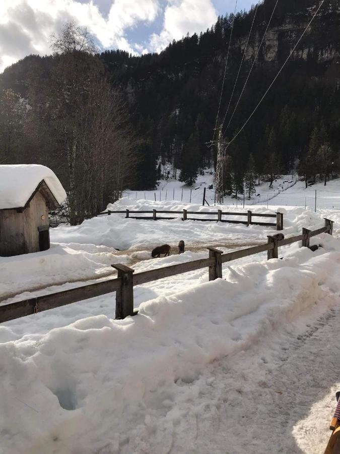 Pension Nachtviole Hüttau Esterno foto